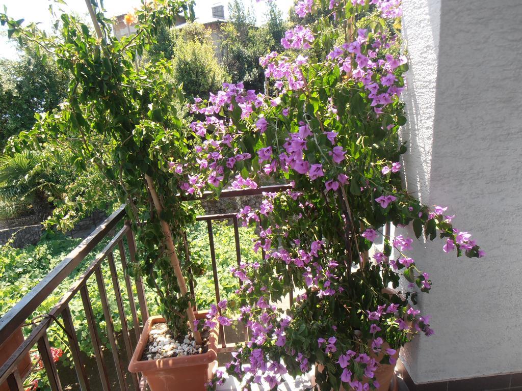 Guesthouse Villa Stanger ลอฟราน ภายนอก รูปภาพ