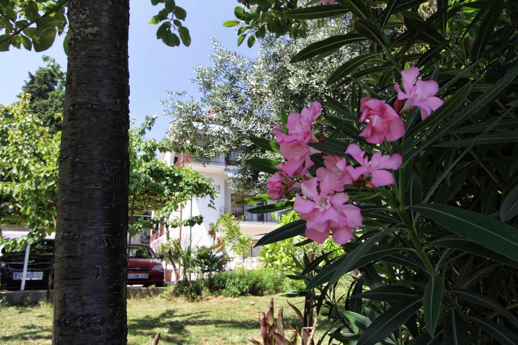 Guesthouse Villa Stanger ลอฟราน ภายนอก รูปภาพ